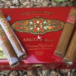 Fuente Fuente OpusX Angel Share