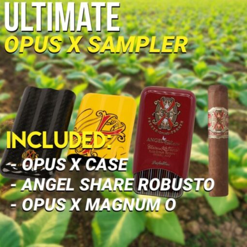 NEW Opus X Magnum O Sampler Yellow (4)