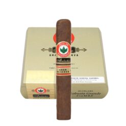 Joya de Nicaragua Antano Gran Reserva Robusto Grande (5.5 x 52/Box of 20)*